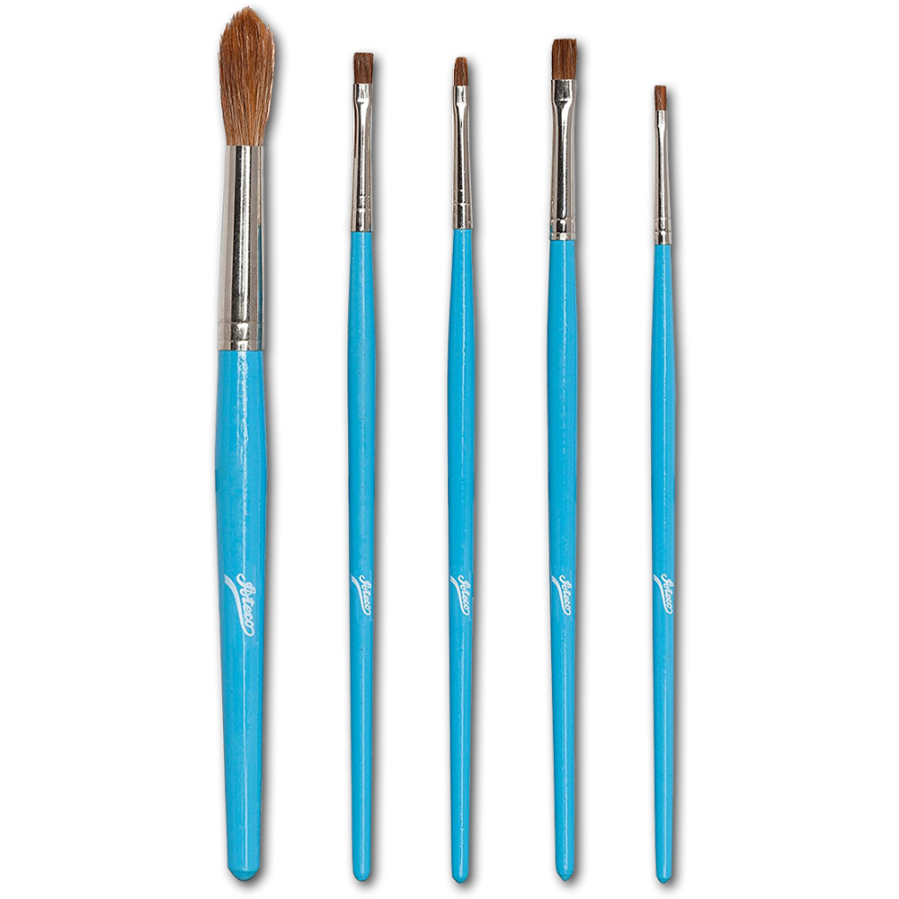 5 Piece Artist Brush Set