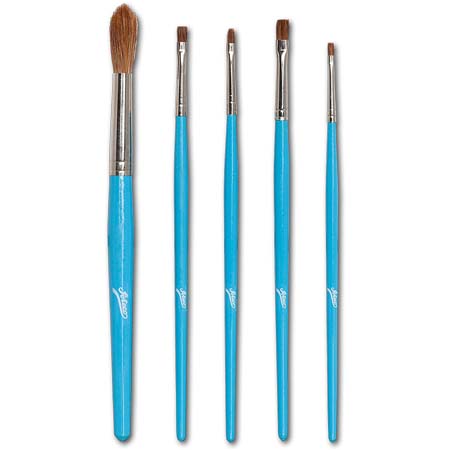 5 Piece Artist Brush Set